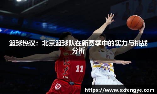 篮球热议：北京篮球队在新赛季中的实力与挑战分析