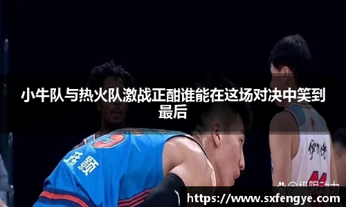小牛队与热火队激战正酣谁能在这场对决中笑到最后