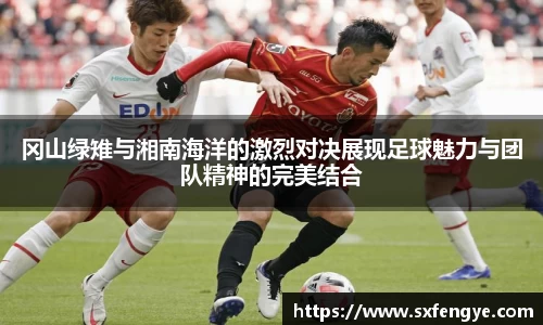 冈山绿雉与湘南海洋的激烈对决展现足球魅力与团队精神的完美结合